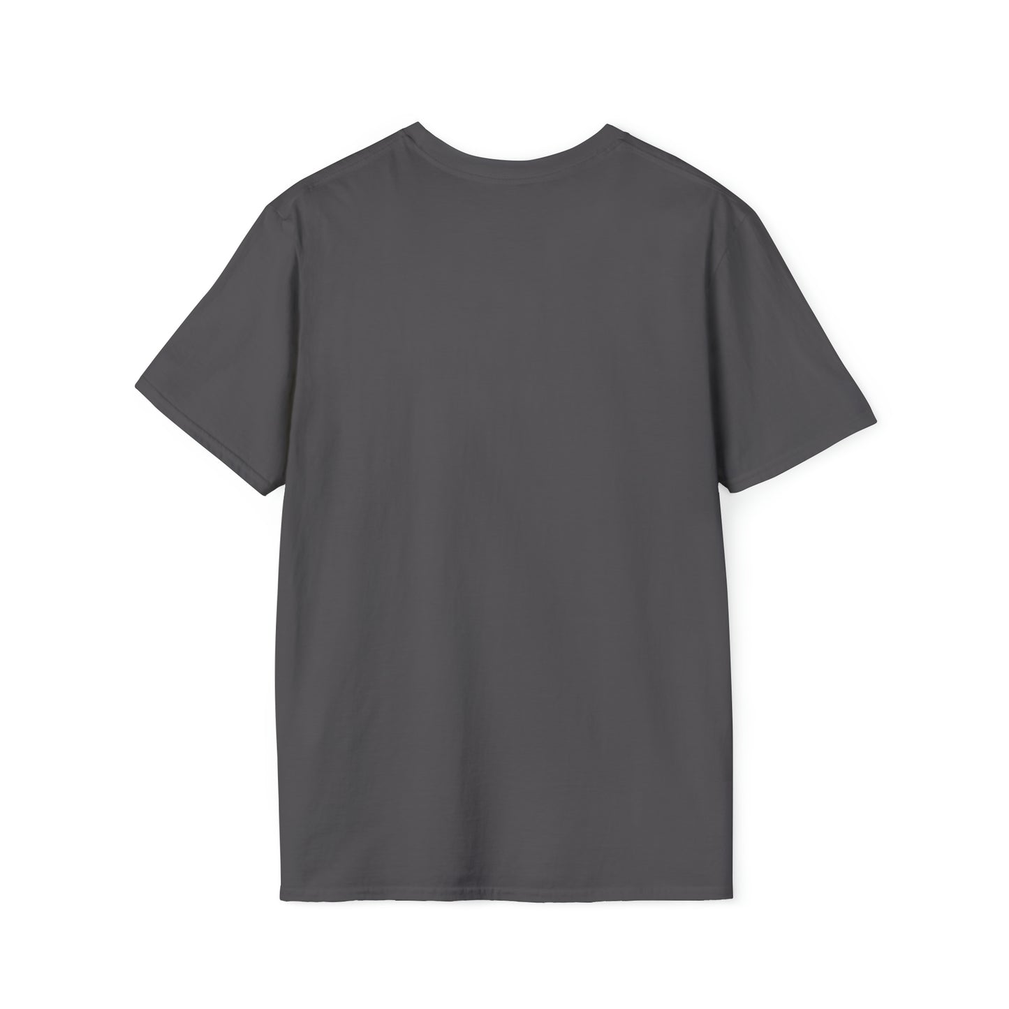 Geometric Hexagons Unisex Softstyle T-Shirt